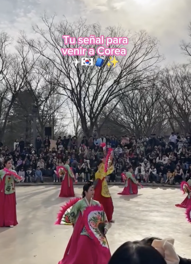 Tu señal para venir a Corea ✈️🇰🇷🧳✨