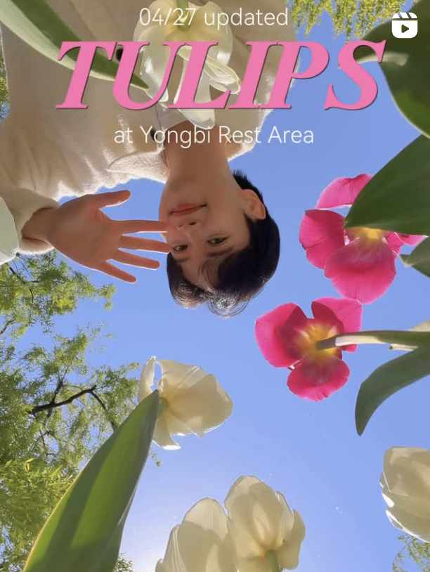 Fields of colorful tulips are waiting just a short trip in Seoul.